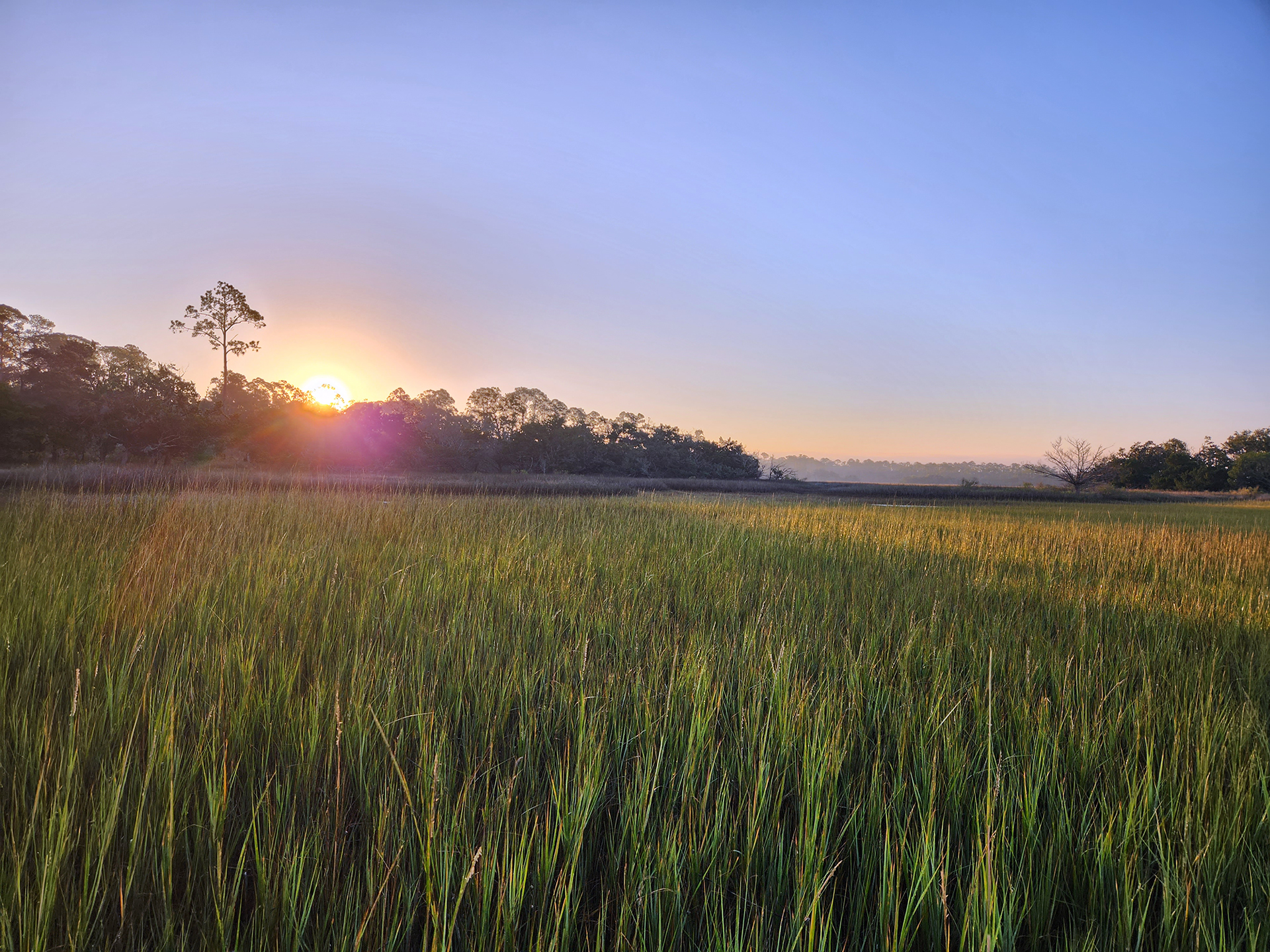 photo of sunrise over marsh