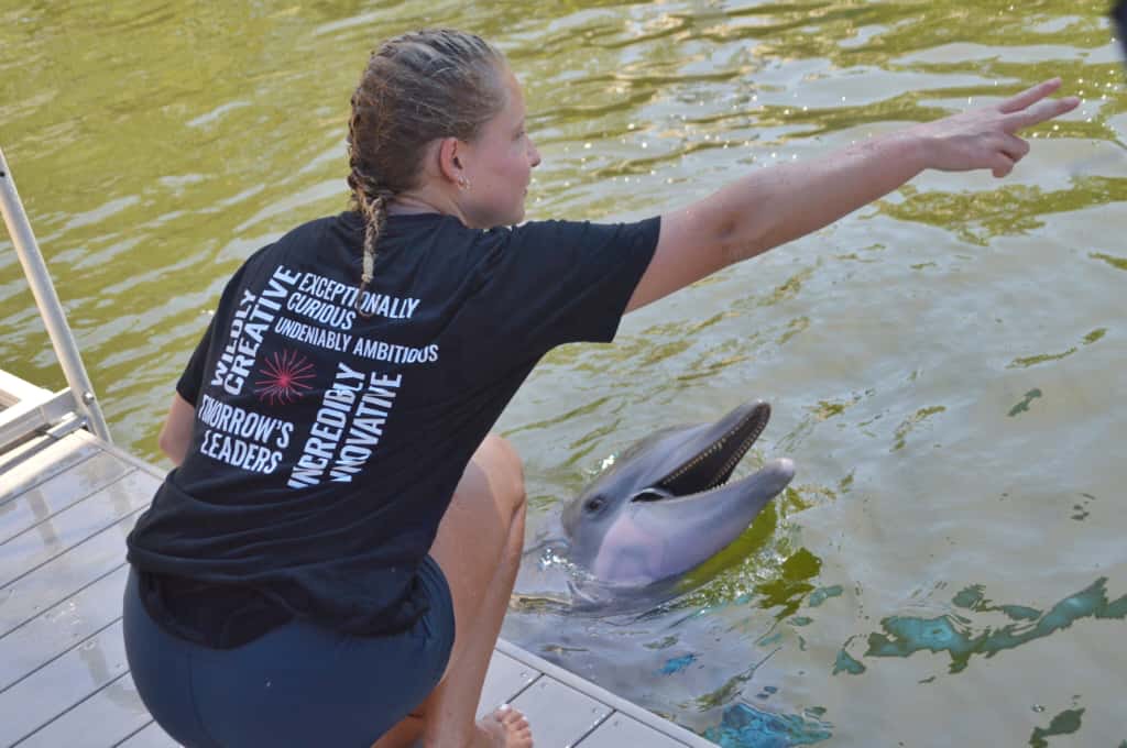 Girl training dolphin