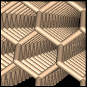 Physical & Mathematical Sciences