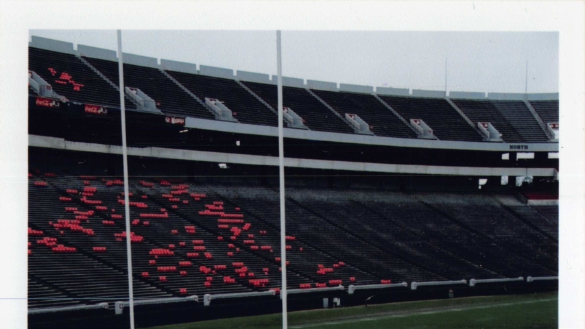 photo of man and woman in stadium stands