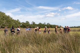 photo of people walking in marsh, day