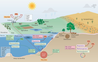 color figure illustration of land, sea and sky, with labels