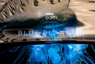 photo of jellyfish half in water