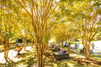 photo of students on benches under tree canopy