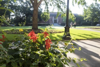 photo of flowers with building, two people, in the background 