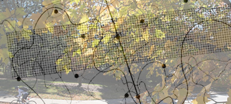 photo with graph overlay