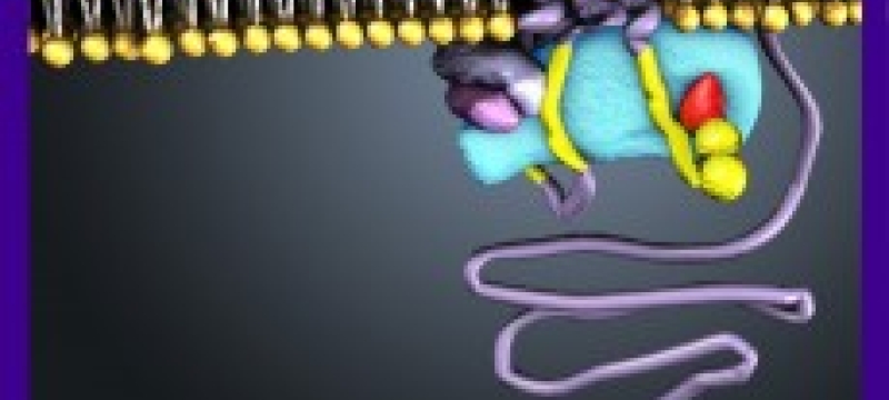 cell structure graphic on greg background