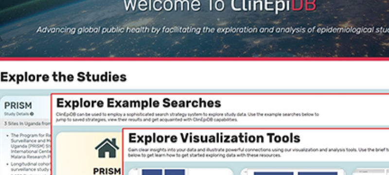 web screen shot with global and graphic