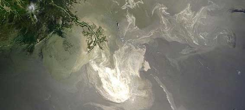 Photo of Gulf of Mexico Oil Spill