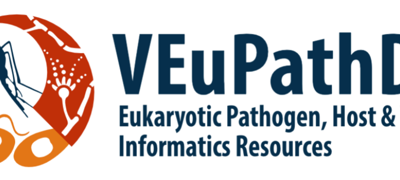 graphic with blue letter son white background, bug and cell illustration