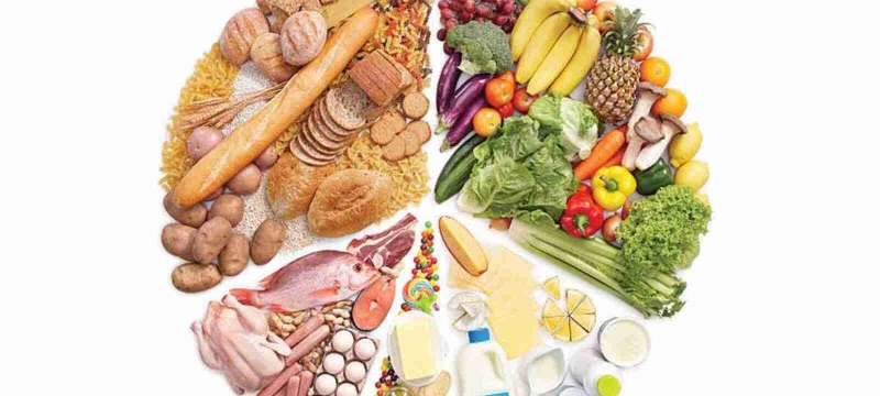 graphic with colorful illustration of food groups