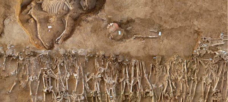 photo of ground with uncovered skeletons of humans and horse