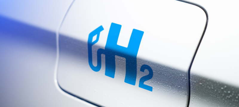 photo of fuel tank cap/door, with blue letter and number