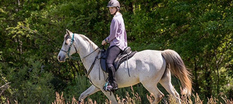 photo of woman on horseback
