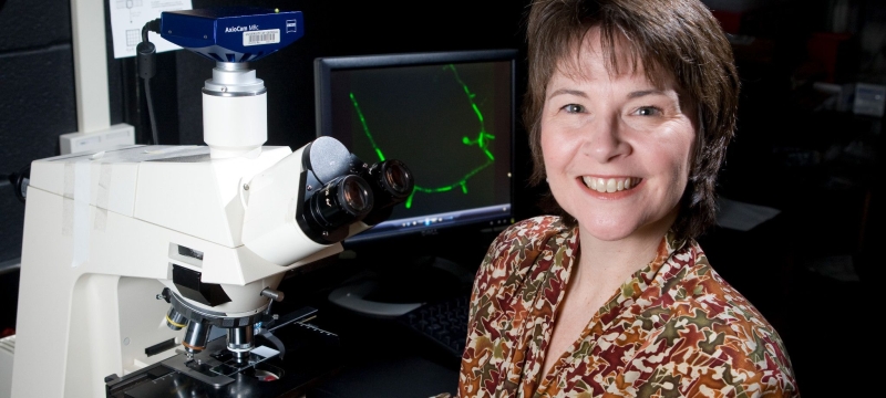 photo of woman with microscope and computer screen 