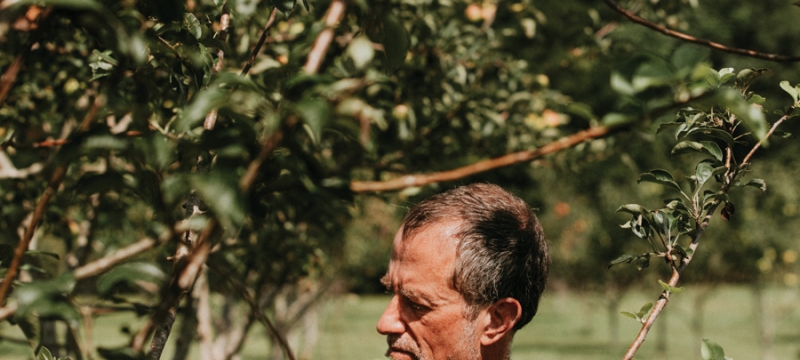 photo of man with apple tree, day