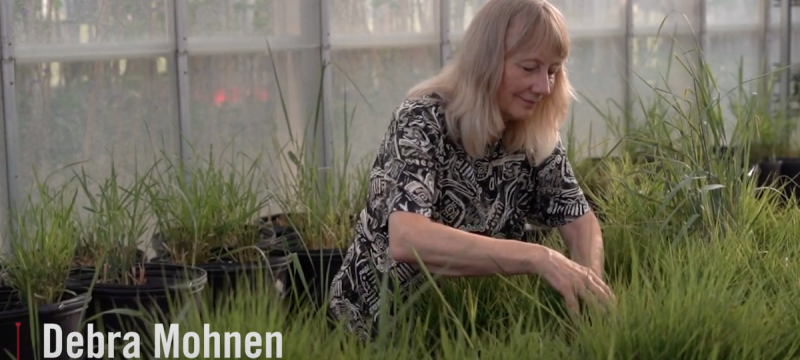 photo of woman in greenhouse, with white text