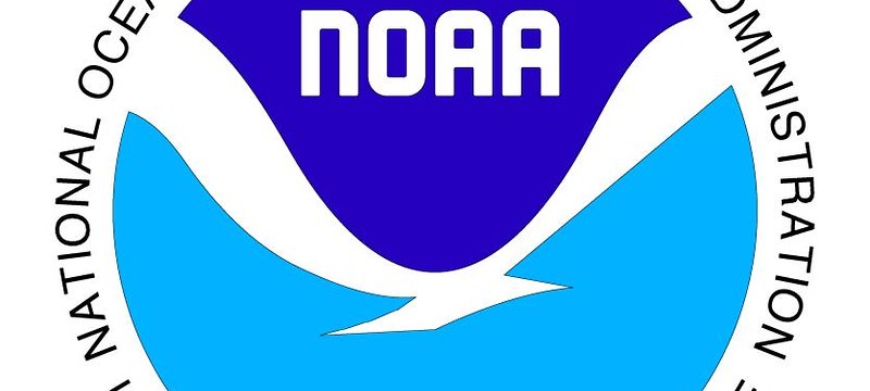 logo with bird silhouette and blue/white text