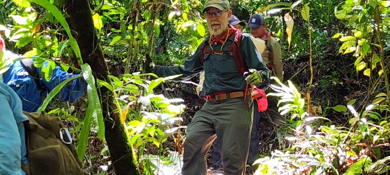 photo of man walking in jungle, day