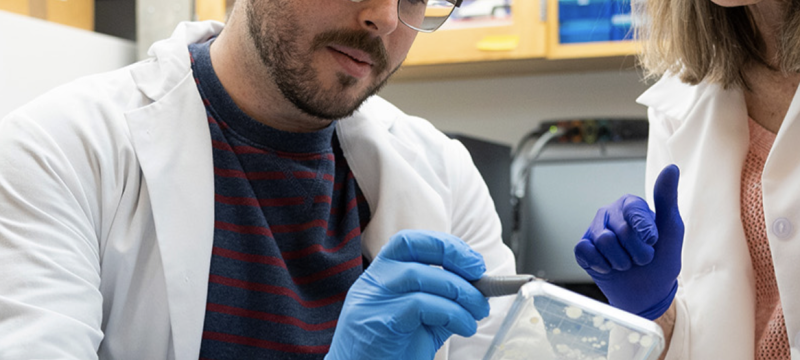 photo of two people in lab with samples, rubber gloves