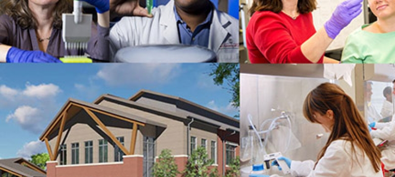 collage of research photos and building