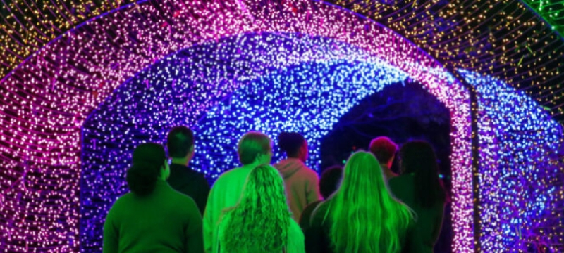 photo of people walking through a light tunnel