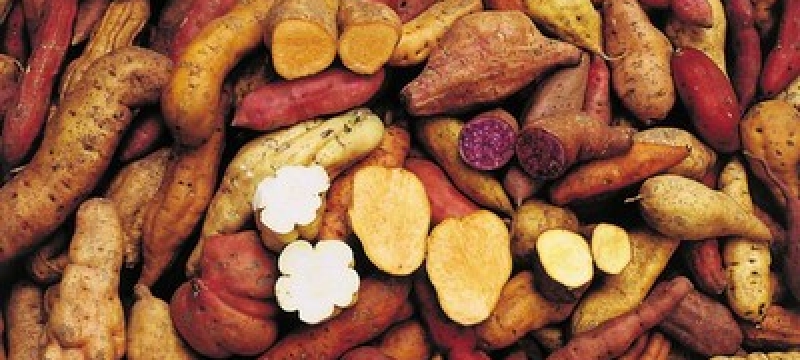 photo of many potatoes, with several cut open