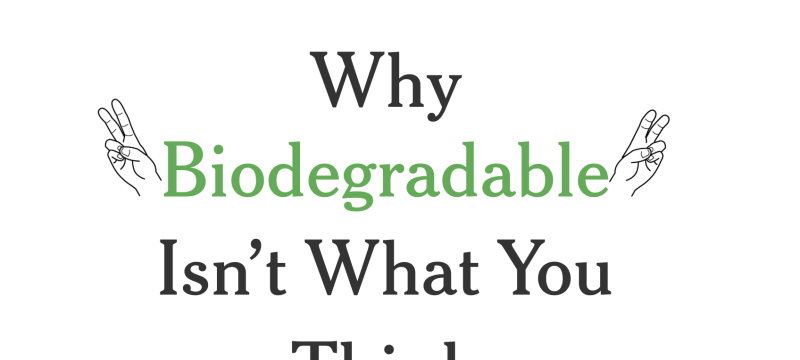 graphic with black and green letters