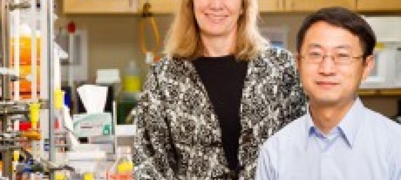 Tan and Mohnen in the lab