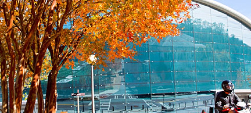 coliseum, with arbre and scooter