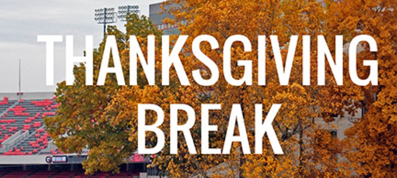 photo of tree with stadium and graphic