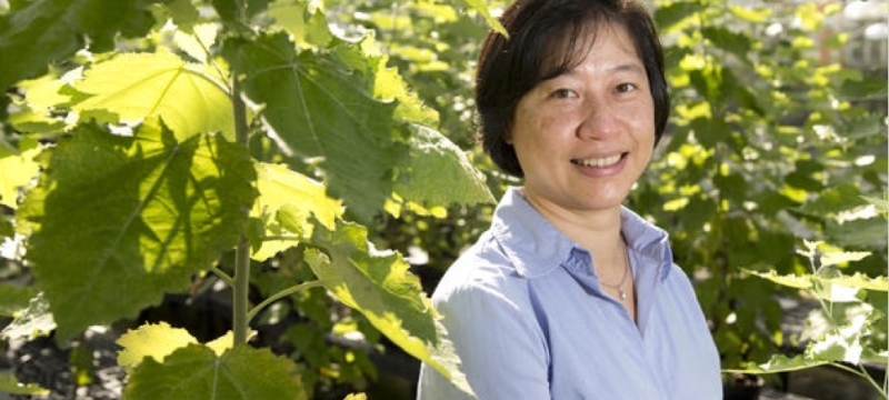 photo of woman in greenhouse garden