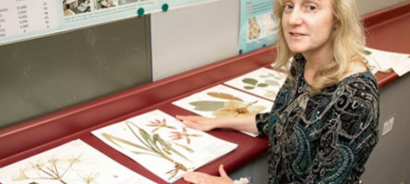 woman with plant illustrations