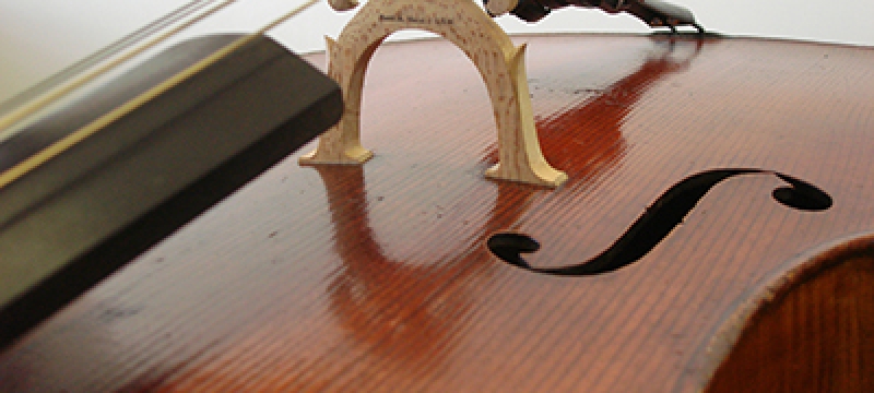 cello close up