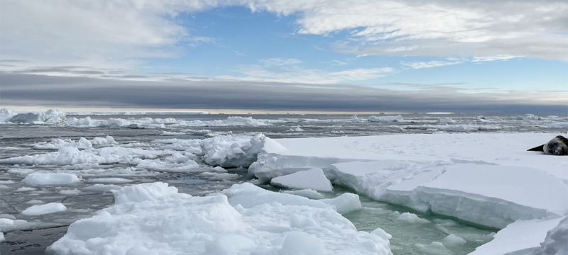 photo of icebergs and sea, with sky, day