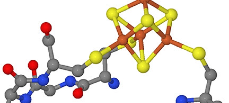 ball and stick model of protein 