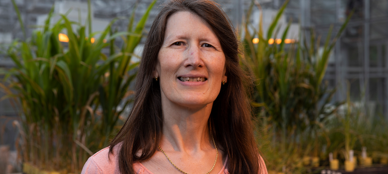 photo of woman in greenhouse