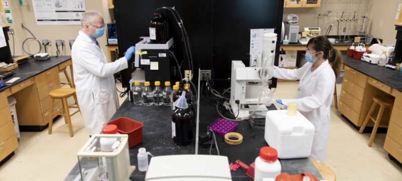 photo of two people on opposite site of lab table, with gloves, coats and masks