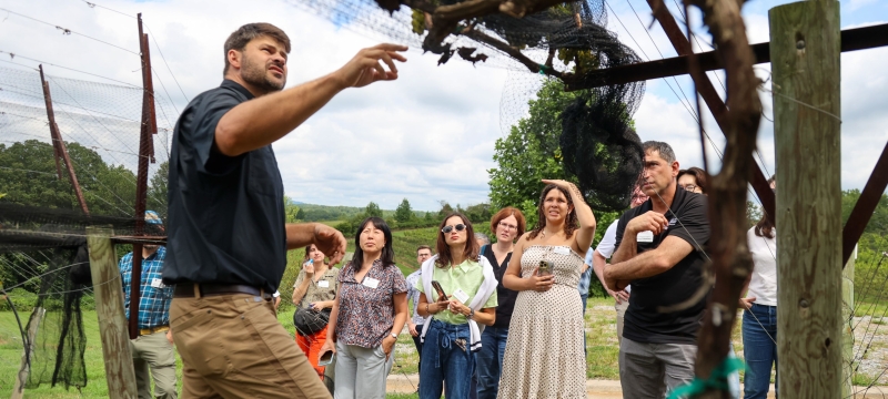photo of man pointing to vine, group of people watch in background
