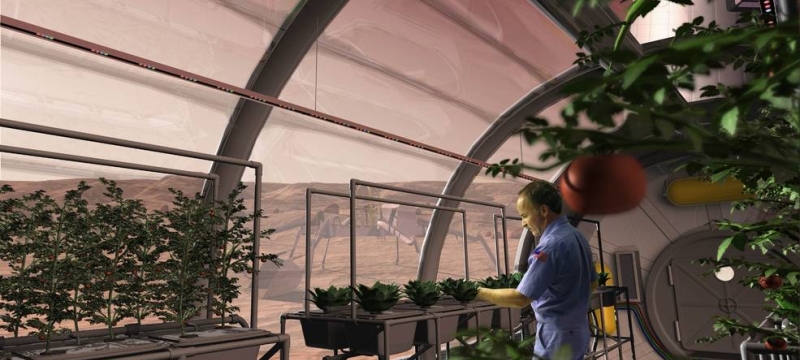 CGI rendering with figure and plants in greenhouse