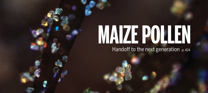 magazine cover illustration with white text and crystals on leaf