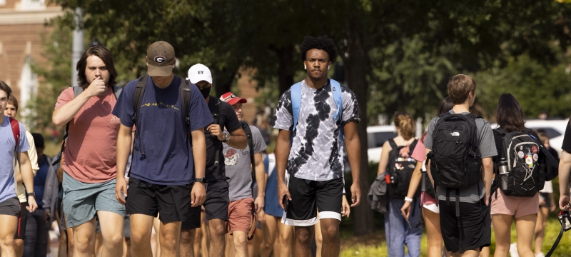 photo of people walking, with trees, day