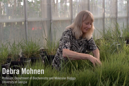 photo of woman in greenhouse, with white text
