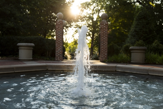 photo of water in fountain, morning
