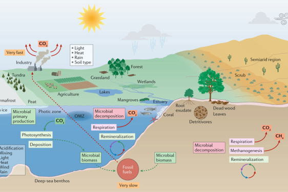 color figure illustration of land, sea and sky, with labels