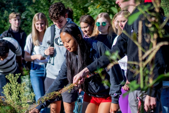 photo of students in garden with medicinal plants 