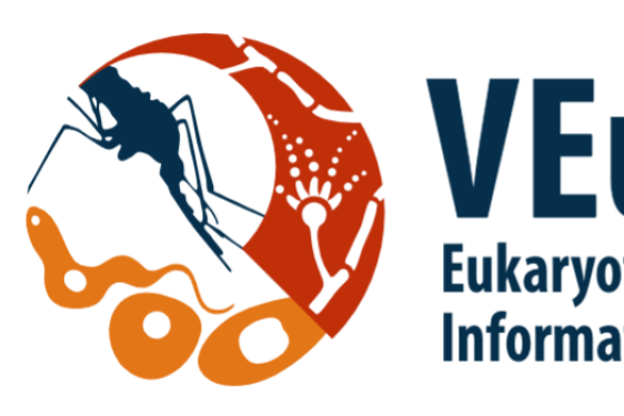 graphic with blue letter son white background, bug and cell illustration