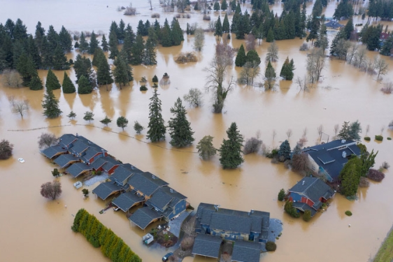 photo of area with flooding and house rooftops