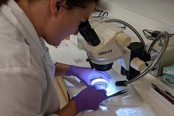photo of woman with microscope and sample