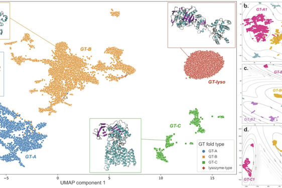 graphic of colored representing projection